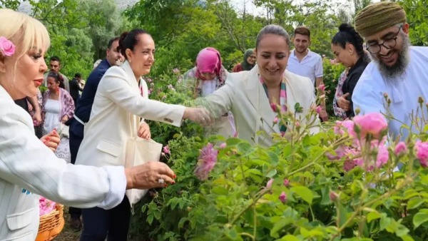 Burdur Ağlasun’da erken saatlerde gül hasadı programı ve Safiye Soyman’ın desteği