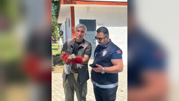 Kırkgöz Sahil Parkı'nda bulunan yavru baykuş Doğa Koruma ekiplerine teslim edildi