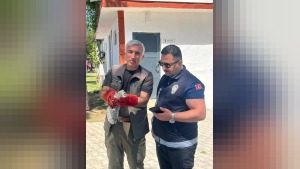 Kırkgöz Sahil Parkı'nda bulunan yavru baykuş Doğa Koruma ekiplerine teslim edildi