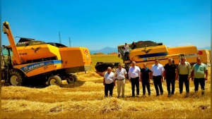 Kızılkaya’da hasat dönemi başladı, üreticiler bereket umuyor