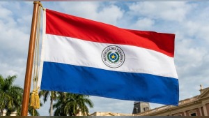 Paraguay, Almanya'yı 4-3 mağlup edip son 16 turuna yükselince 30 Haziran'ı tatil ilan etti