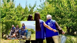 Isparta Gençlik Merkezi'nin Gönüllü Hasat Etkinliği'nde Gençler Kayısı Hasadına Destek Verdi
