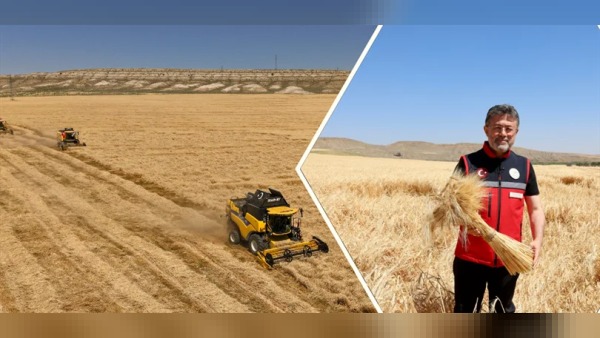 Kırıkkale’de arpa hasadı: Yumaklı baraj doluluğunu ve 2026 rekor üretimi anlattı