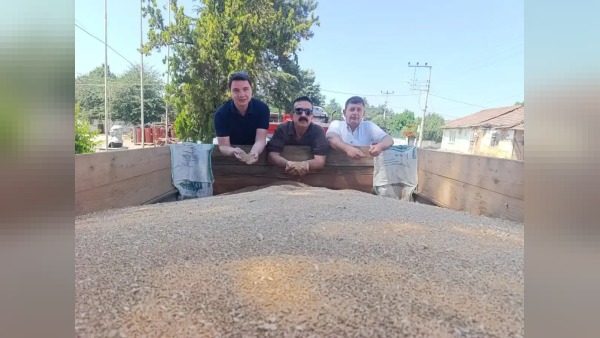 Sezai Çelik: TMO olmasa buğday 11-12 liraya alınırdı