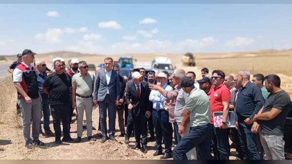Çerikli’de buğday hasadı programı: Vali Sarıibrahim ve TMO ziyareti