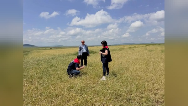 Kars’ta fırtına ve dolu sonrası hasar tespit çalışmaları başlatıldı
