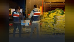 Van'da 333 kilo skunk yakalandı: 2 şüpheli operasyonla gözaltına alındı