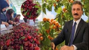 Batı Akdeniz’de haziranda 80,5 milyon dolarlık yaş sebze-meyve ihracatı
