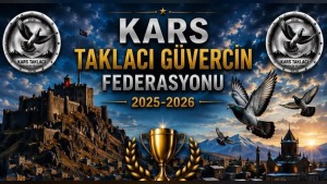 Kars Taklacı Güvercin Festivali 2026’da yarışlar başladı, dereceye girenler netleşiyor