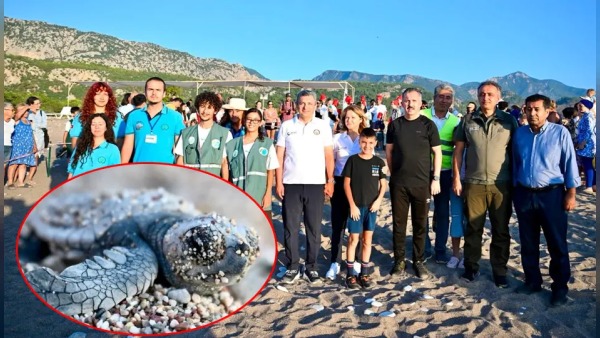 Çıralı’da caretta caretta yavruları güvenli şekilde denizle buluştu