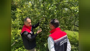 Kars’ta İl Müdürü Enver Aydın, meyve bahçeleri için 5 öneri sıraladı