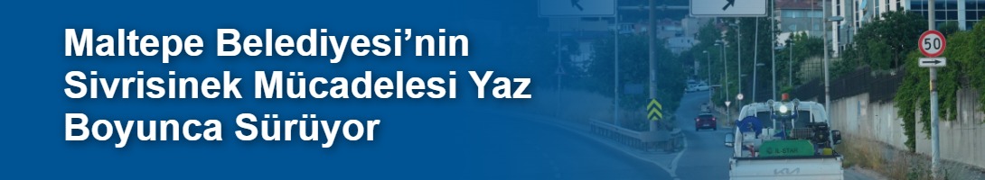 Maltepe Belediyesi’nin Sivrisinek Mücadelesi Yaz Boyunca Sürüyor